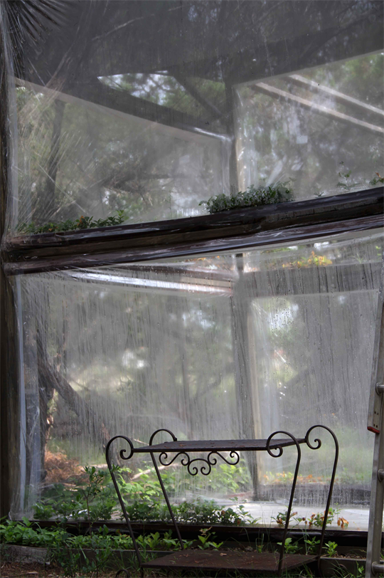 Living Walls By Dapacu Artist Art Gallery Artworks With Natural Nature